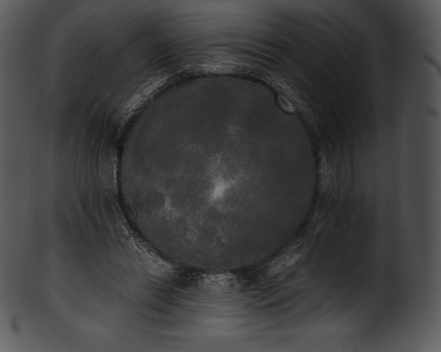 X0000101460446200807141310