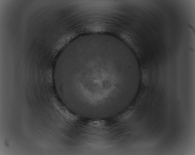 X0000101460447200807141310