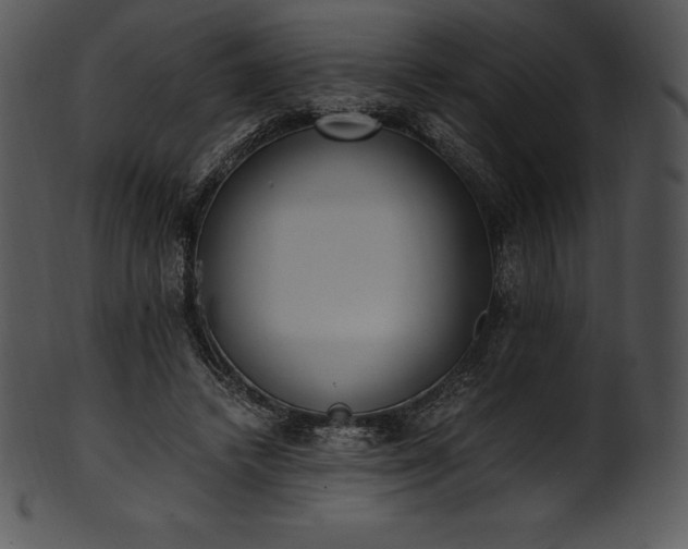 X0000101460448200807141310