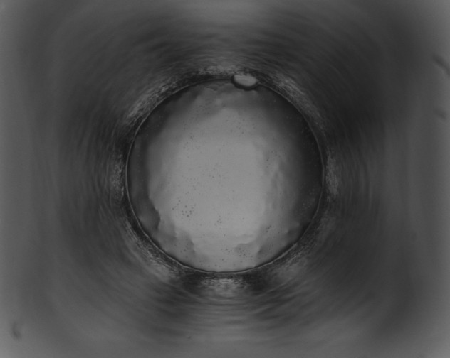X0000101460449200807141310