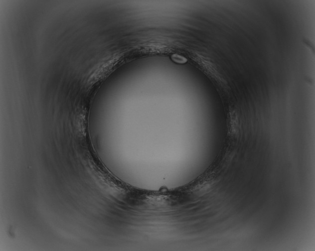 X0000101460450200807141310