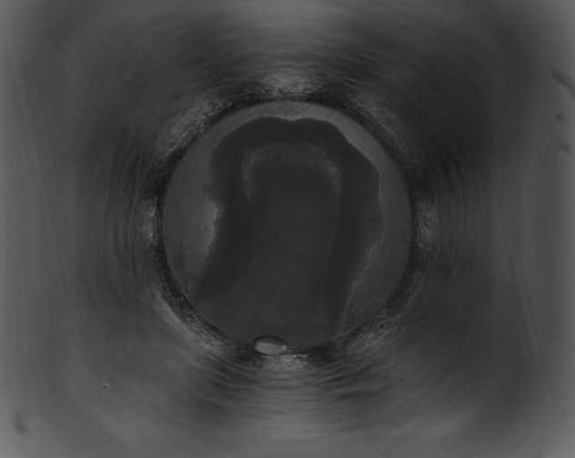 X0000101460451200807141310