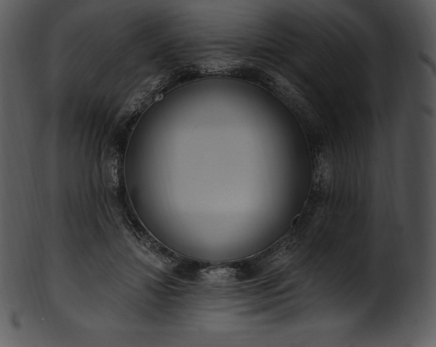 X0000101460452200807141310