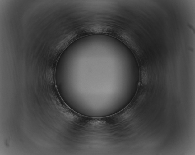 X0000101460453200807141310