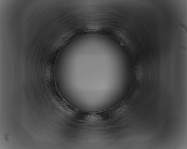 X0000101460455200807141310