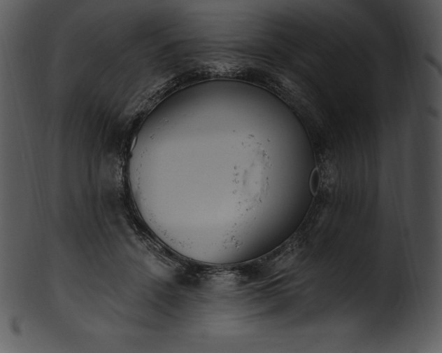 X0000101460456200807141310