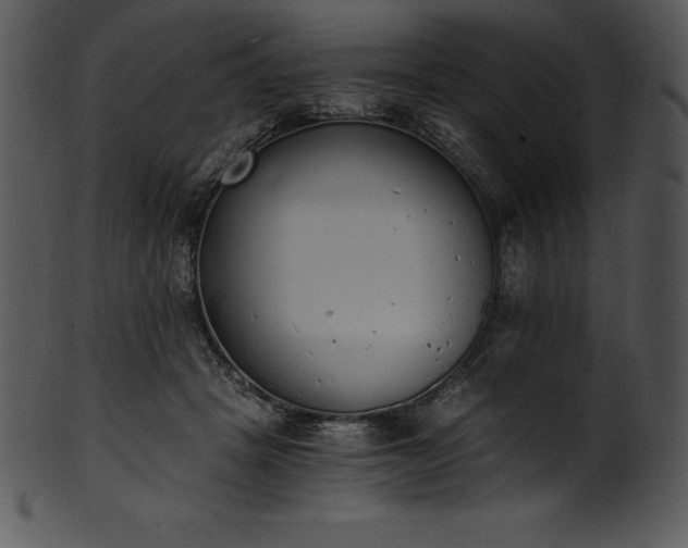 X0000101460457200807141310