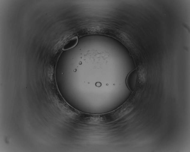 X0000101460458200807141310