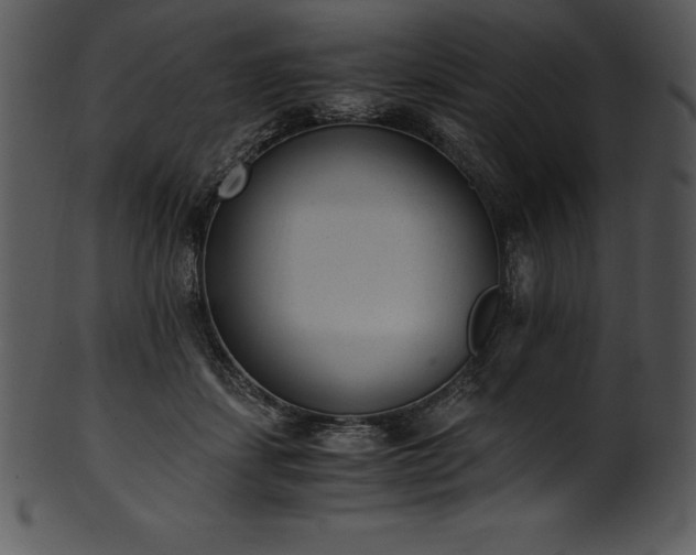 X0000101460459200807141310