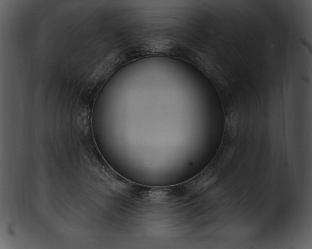 X0000101460462200807141310