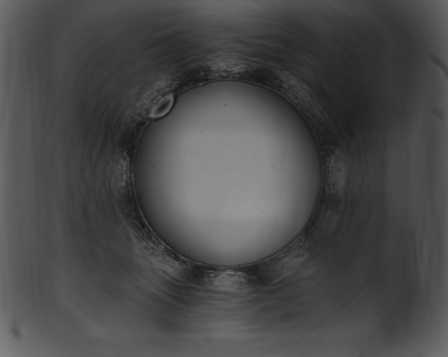 X0000101460463200807141310