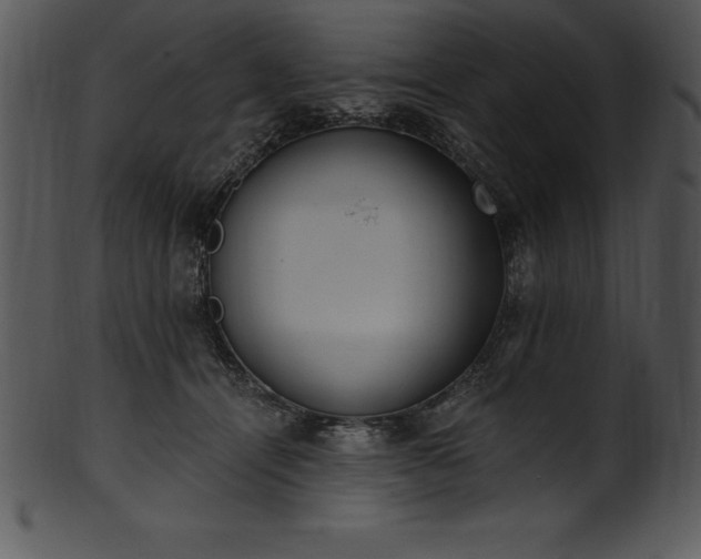 X0000101460464200807141311