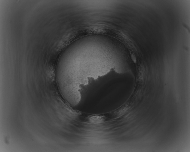 X0000101460465200807141311