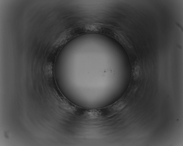 X0000101460466200807141311