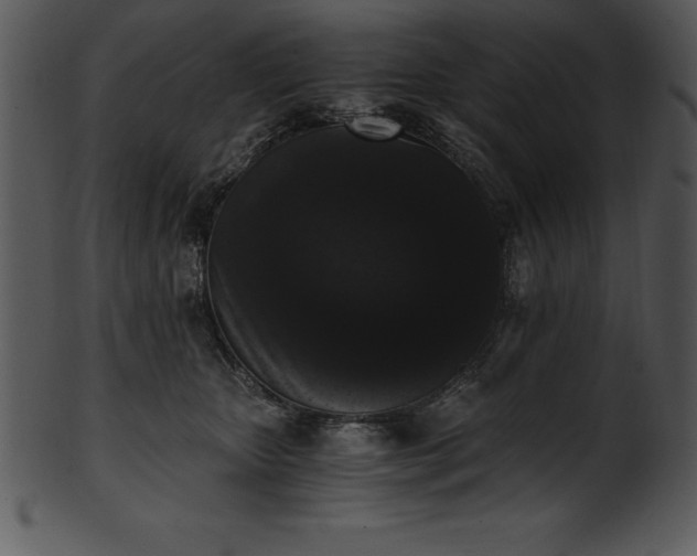 X0000101460467200807141311