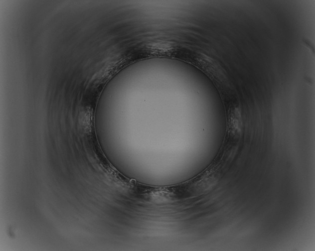 X0000101460468200807141311