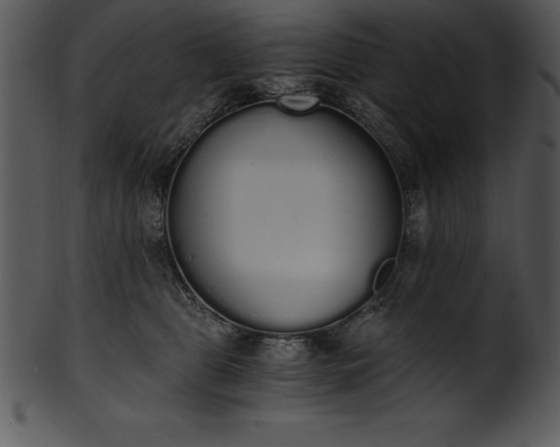 X0000101460469200807141311