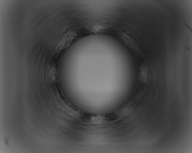 X0000101460470200807141311