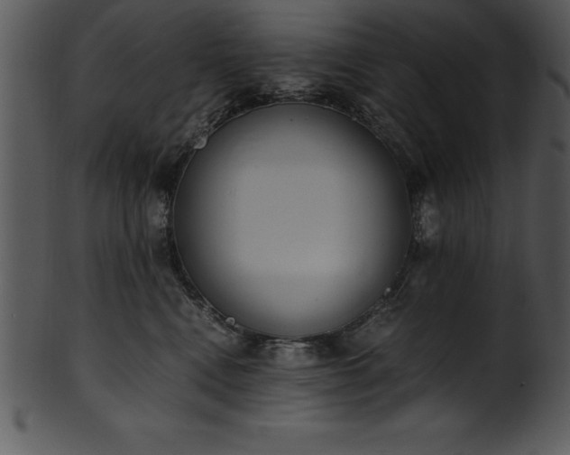 X0000101460472200807141311