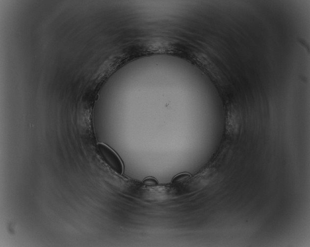 X0000101460473200807141311