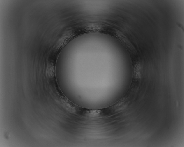 X0000101460474200807141311