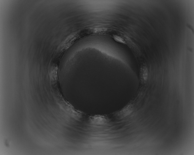 X0000101460475200807141311