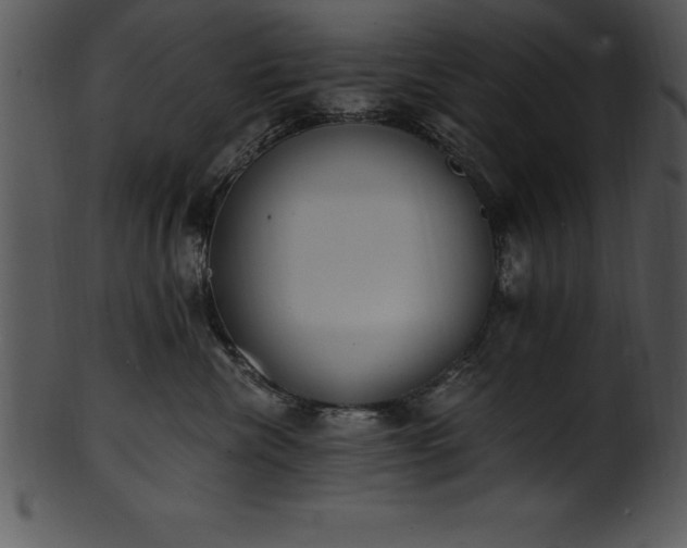 X0000101460476200807141311