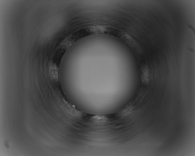 X0000101460477200807141311