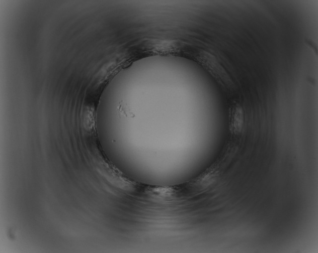 X0000101460478200807141311