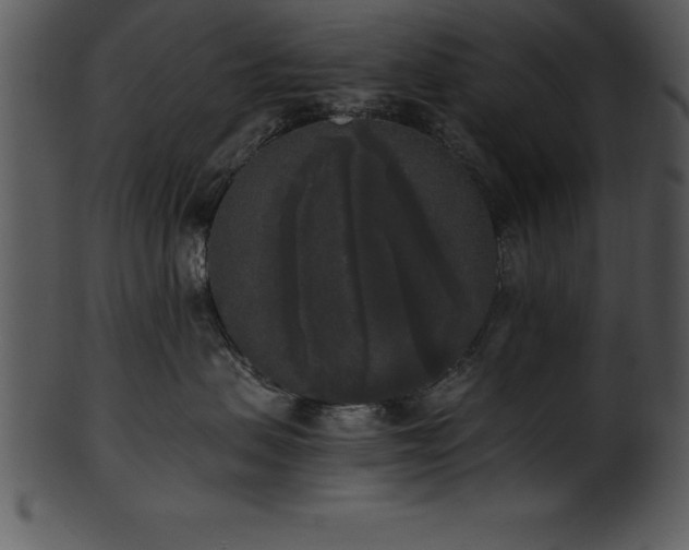 X0000101460479200807141311