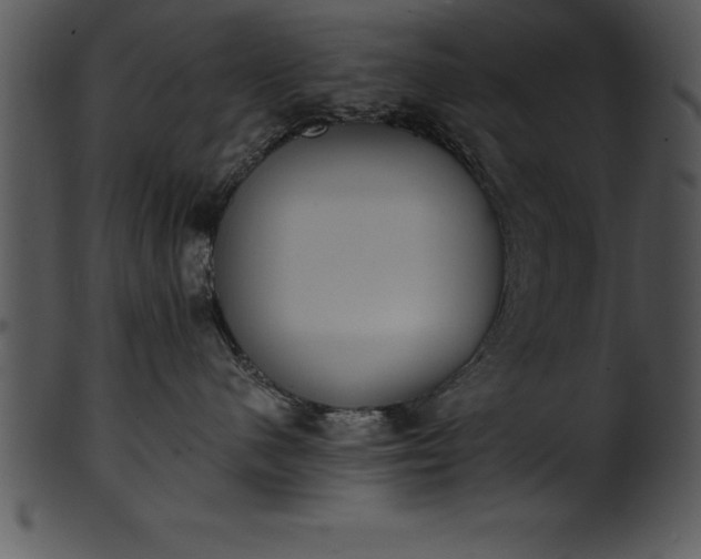 X0000101460480200807141311