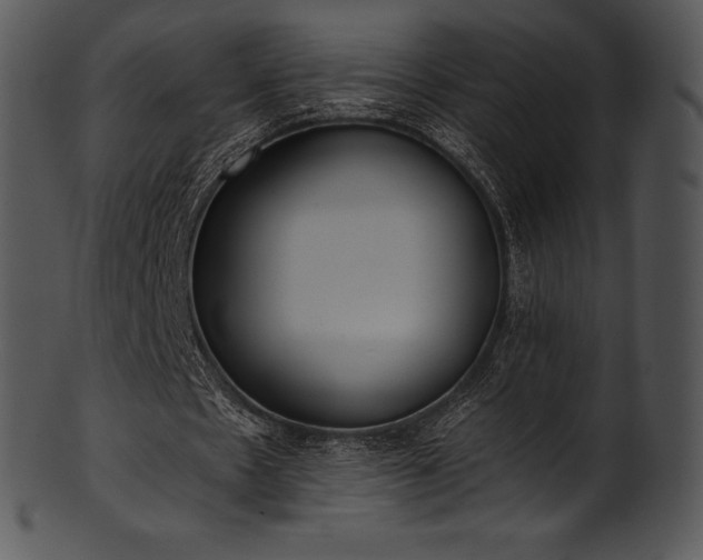 X0000101460481200807141310