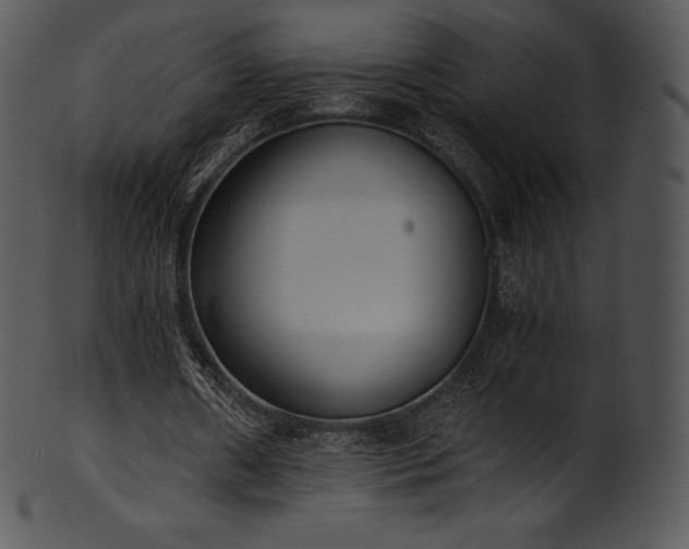 X0000101460482200807141310