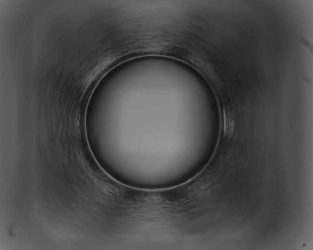 X0000101460483200807141310