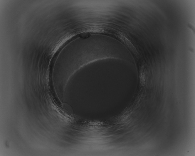 X0000101460484200807141310
