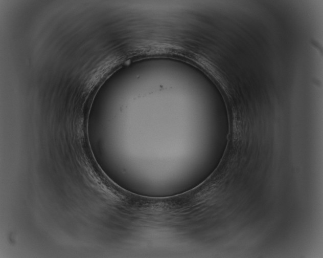 X0000101460485200807141310