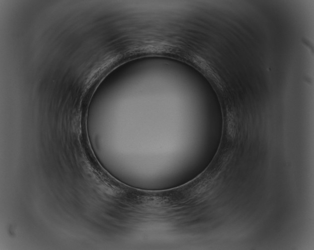 X0000101460486200807141310