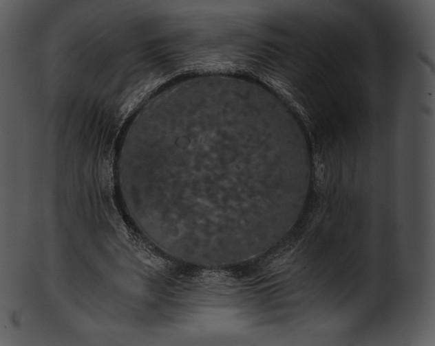 X0000101460487200807141310