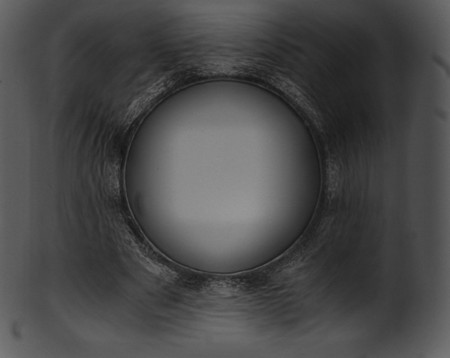 X0000101460489200807141310