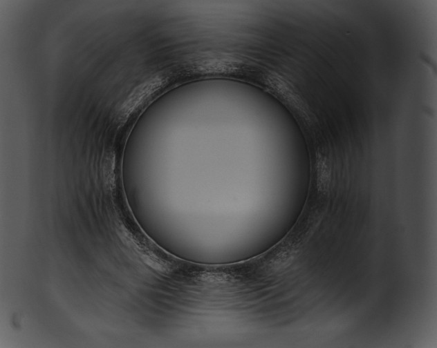 X0000101460490200807141310