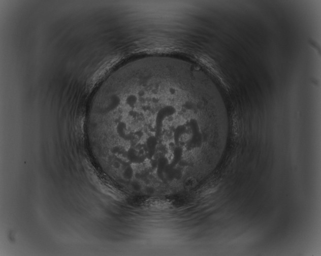 X0000101460491200807141310