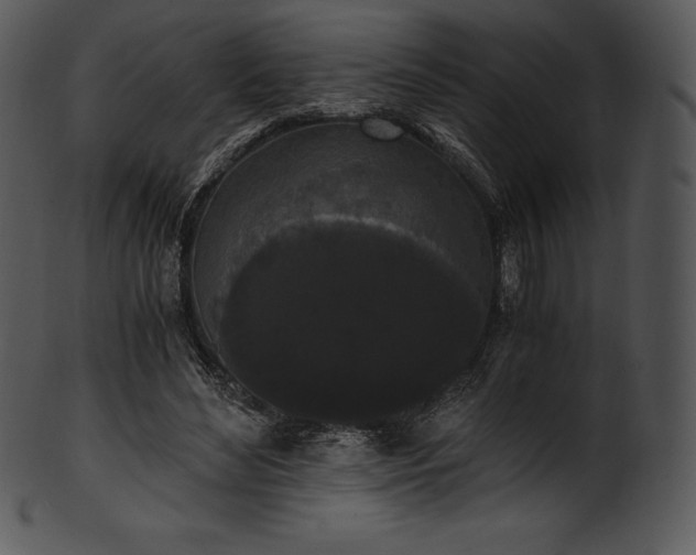 X0000101460492200807141310