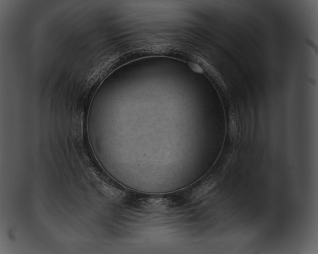 X0000101460493200807141310