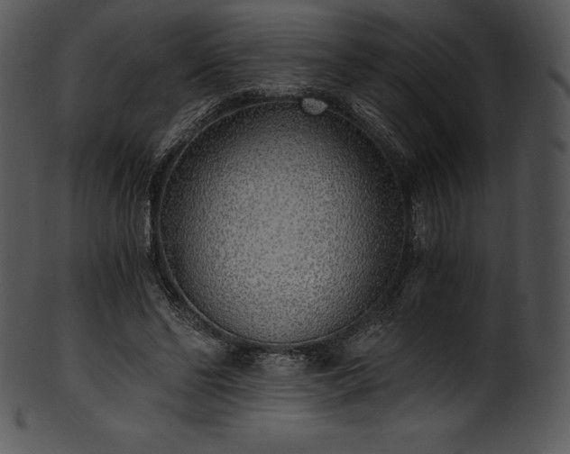 X0000101460494200807141310