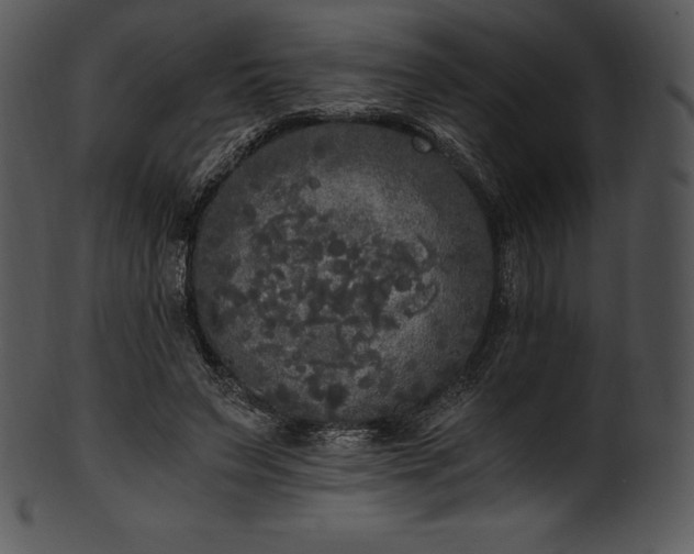 X0000101460495200807141310