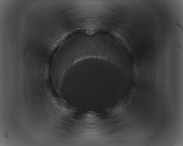 X0000101460496200807141310