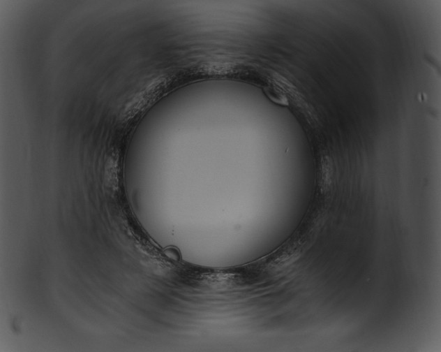 X0000101460497200807141310