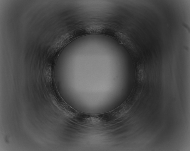 X0000101460498200807141310