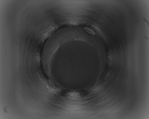 X0000101460500200807141310