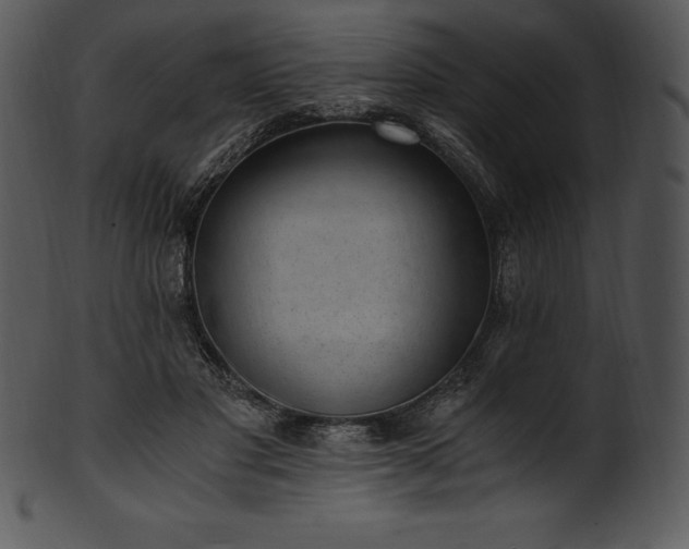 X0000101460501200807141310